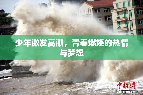 少年激发高潮，青春燃烧的热情与梦想