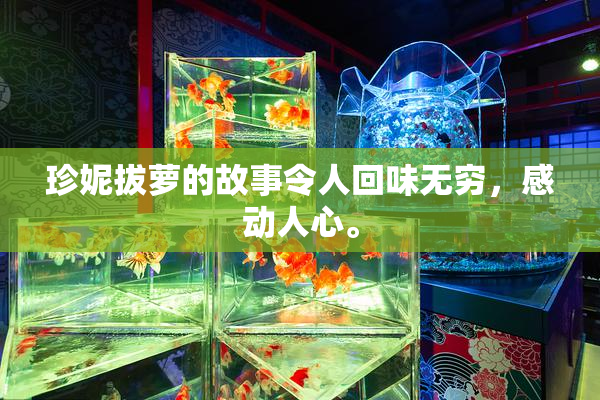 珍妮拔萝的故事令人回味无穷，感动人心。