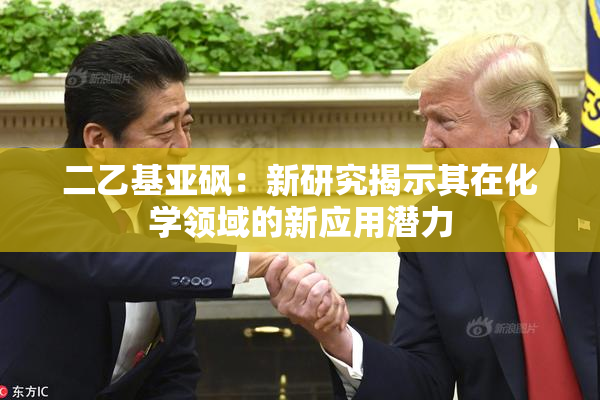 二乙基亚砜：新研究揭示其在化学领域的新应用潜力