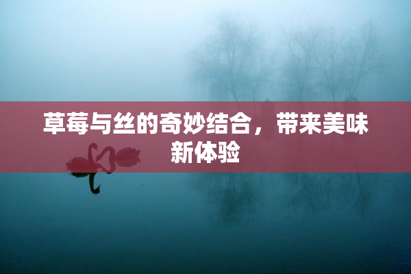 草莓与丝的奇妙结合，带来美味新体验