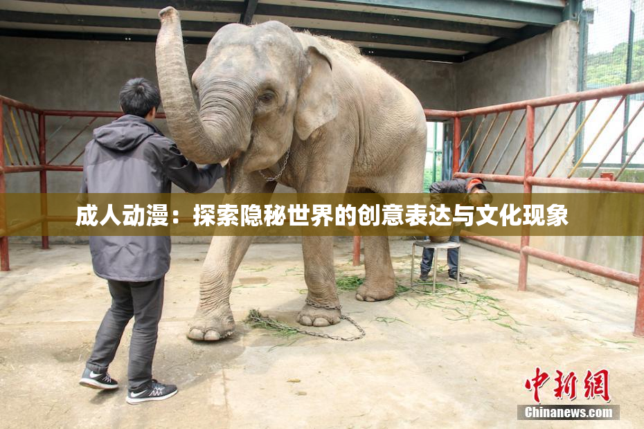 成人动漫：探索隐秘世界的创意表达与文化现象