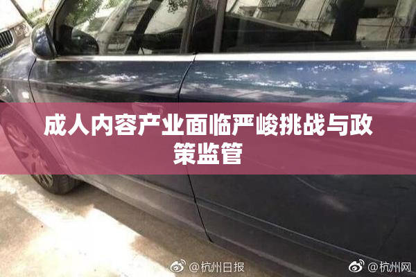 成人内容产业面临严峻挑战与政策监管