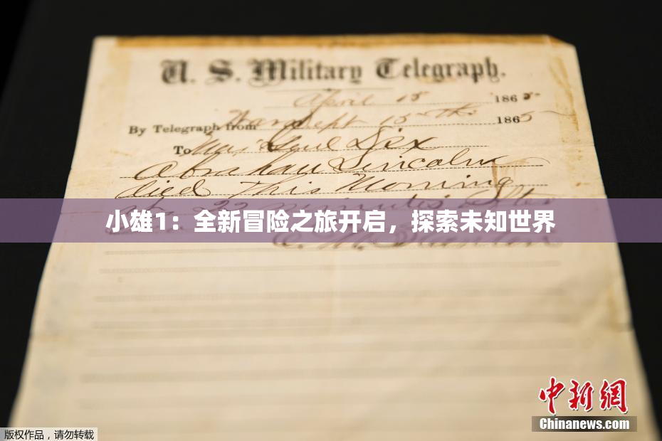 小雄1：全新冒险之旅开启，探索未知世界