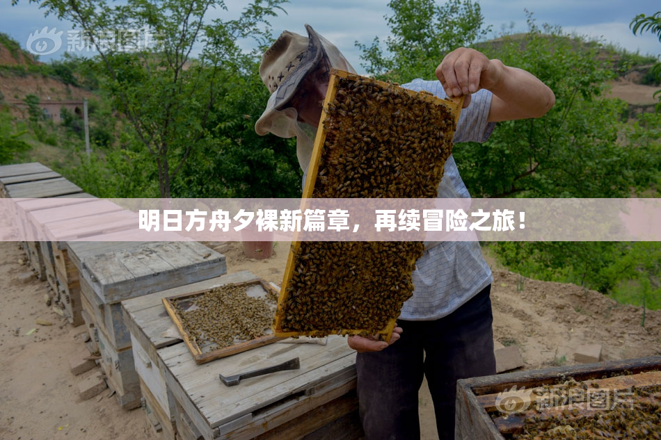 明日方舟夕裸新篇章，再续冒险之旅！