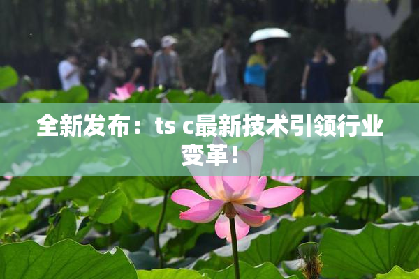 全新发布：ts c最新技术引领行业变革！