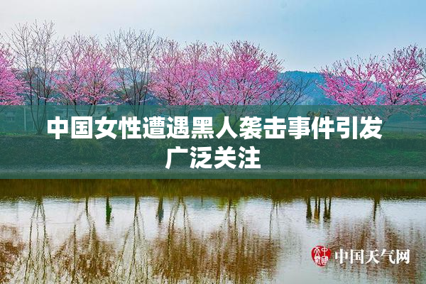 中国女性遭遇黑人袭击事件引发广泛关注