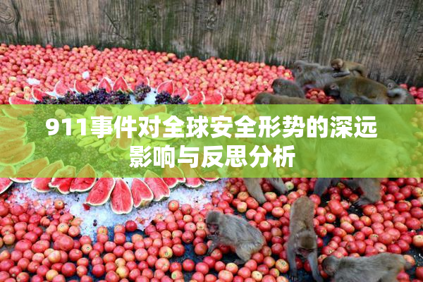 911事件对全球安全形势的深远影响与反思分析