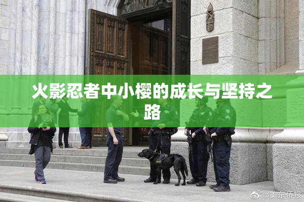 火影忍者中小樱的成长与坚持之路