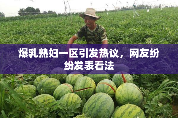 爆乳熟妇一区引发热议，网友纷纷发表看法
