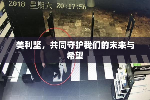 美利坚，共同守护我们的未来与希望