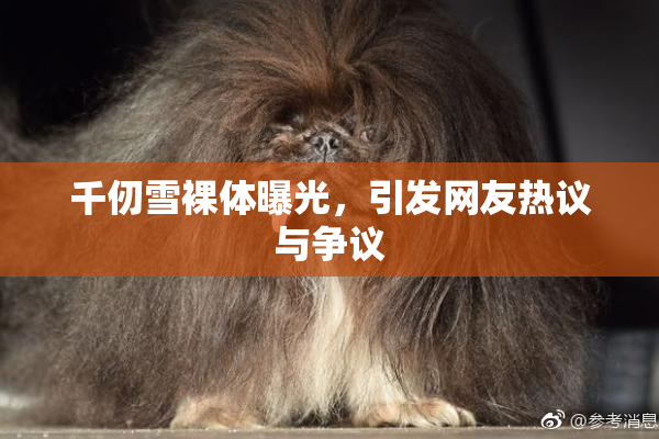 千仞雪裸体曝光，引发网友热议与争议