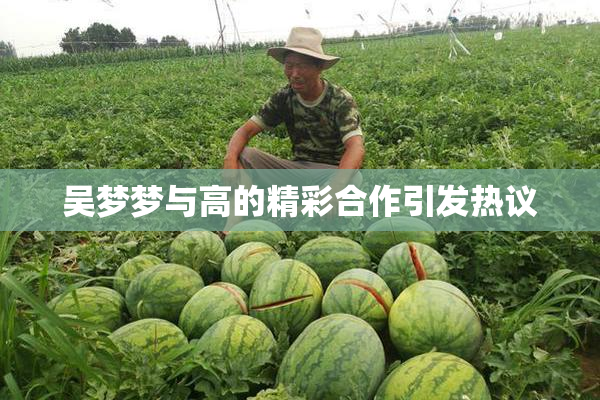 吴梦梦与高的精彩合作引发热议