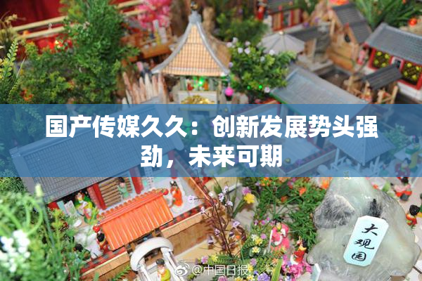 国产传媒久久：创新发展势头强劲，未来可期