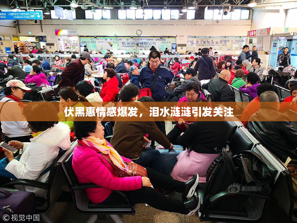 伏黑惠情感爆发，泪水涟涟引发关注