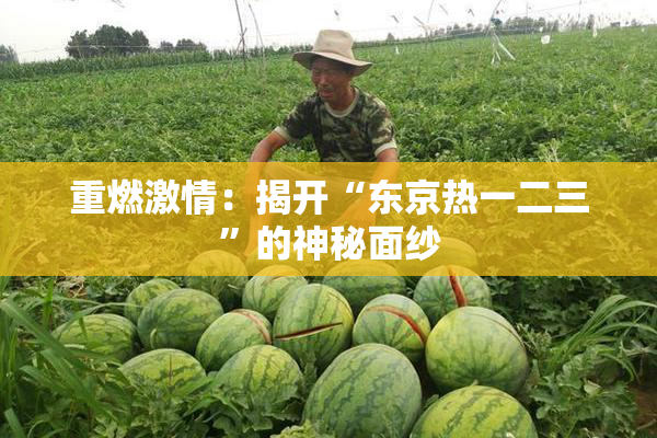重燃激情：揭开“东京热一二三”的神秘面纱