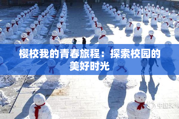 樱校我的青春旅程：探索校园的美好时光