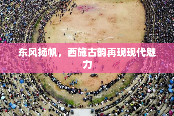 东风扬帆，西施古韵再现现代魅力