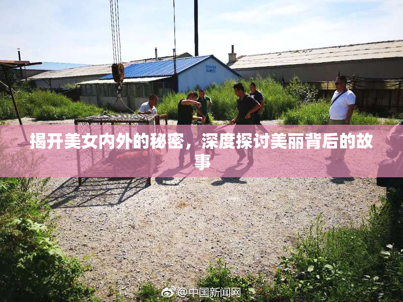 揭开美女内外的秘密，深度探讨美丽背后的故事