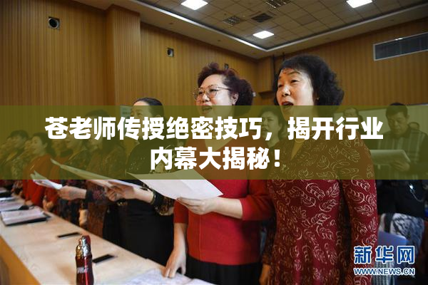 苍老师传授绝密技巧，揭开行业内幕大揭秘！