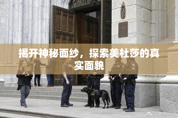 揭开神秘面纱，探索美杜莎的真实面貌