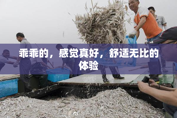 乖乖的，感觉真好，舒适无比的体验