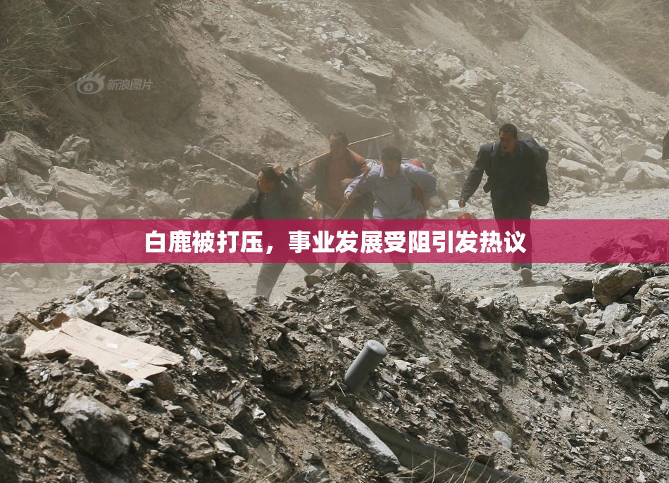 白鹿被打压，事业发展受阻引发热议