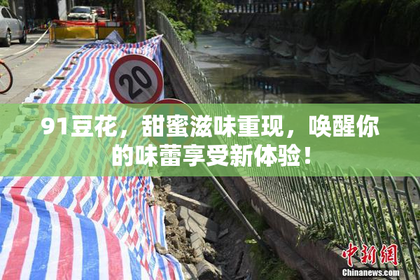 91豆花，甜蜜滋味重现，唤醒你的味蕾享受新体验！