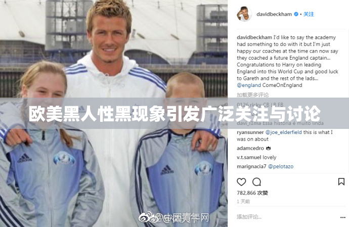 欧美黑人性黑现象引发广泛关注与讨论