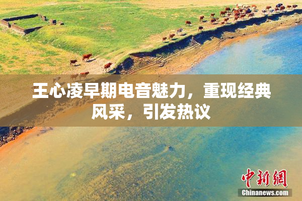 王心凌早期电音魅力，重现经典风采，引发热议