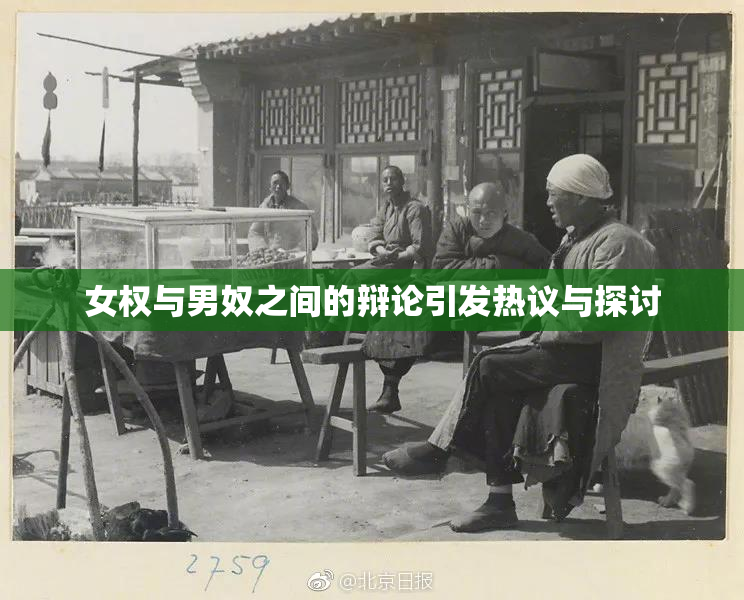 女权与男奴之间的辩论引发热议与探讨