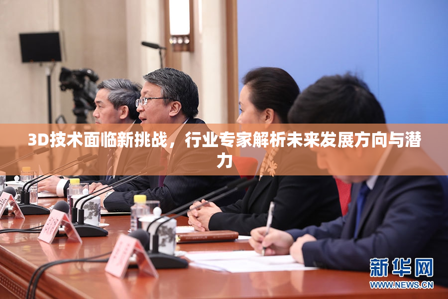 3D技术面临新挑战，行业专家解析未来发展方向与潜力