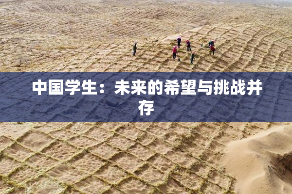 中国学生：未来的希望与挑战并存