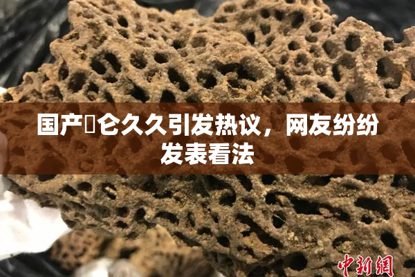 国产婬仑久久引发热议，网友纷纷发表看法