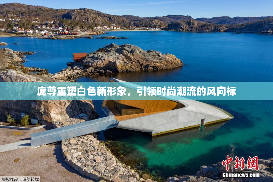 庞尊重塑白色新形象，引领时尚潮流的风向标