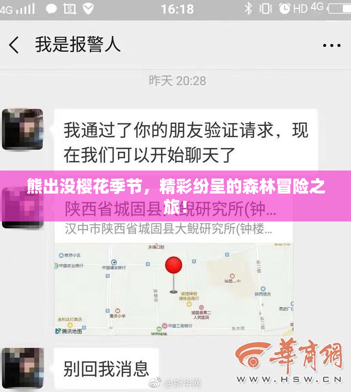 熊出没樱花季节，精彩纷呈的森林冒险之旅！