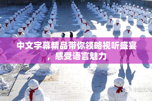 中文字幕精品带你领略视听盛宴，感受语言魅力