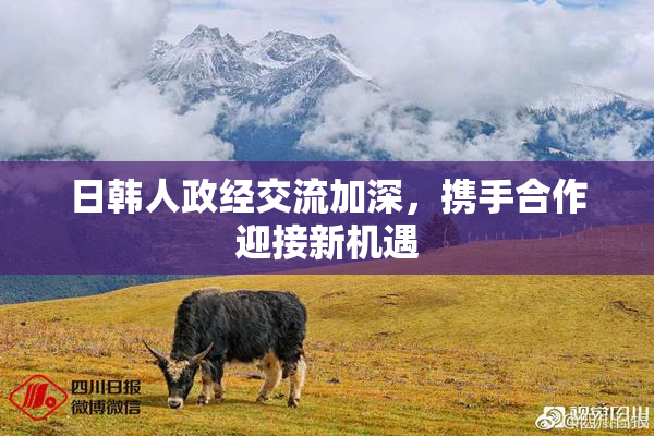 日韩人政经交流加深，携手合作迎接新机遇