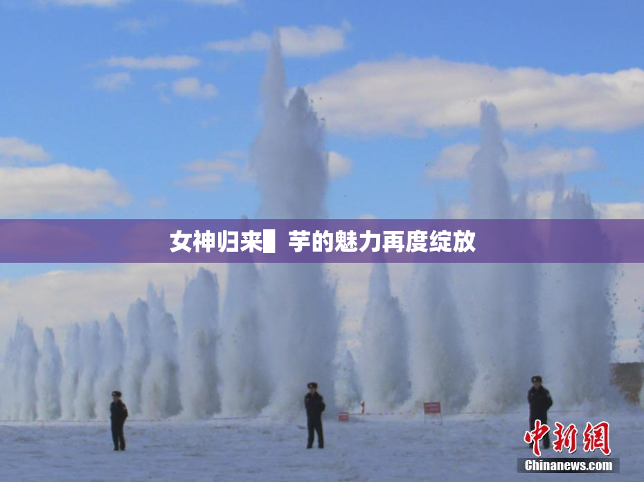 女神归来▌芋的魅力再度绽放