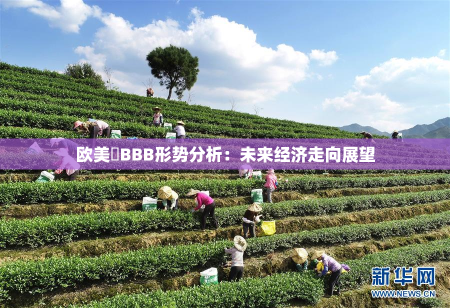 欧美槡BBB形势分析：未来经济走向展望