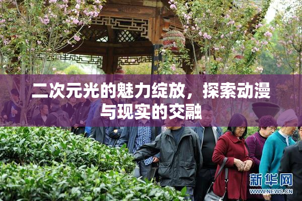 二次元光的魅力绽放，探索动漫与现实的交融