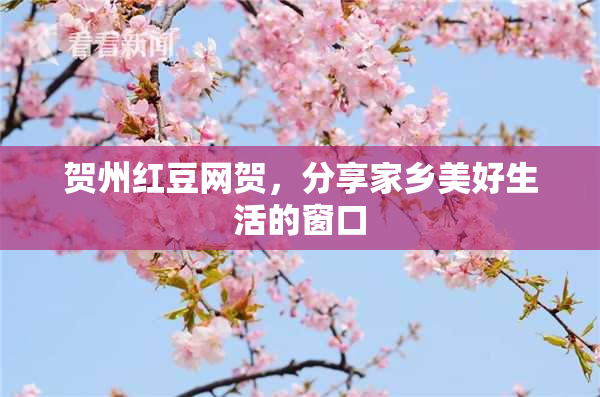 贺州红豆网贺，分享家乡美好生活的窗口