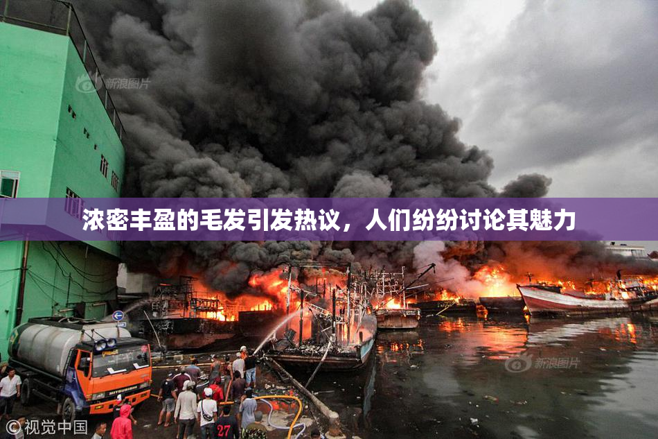 浓密丰盈的毛发引发热议，人们纷纷讨论其魅力