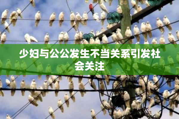 少妇与公公发生不当关系引发社会关注