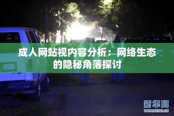 成人网站视内容分析：网络生态的隐秘角落探讨