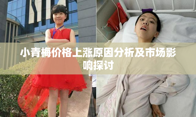小青梅价格上涨原因分析及市场影响探讨