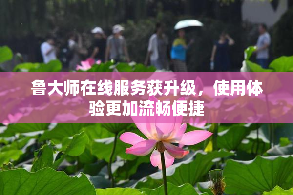 鲁大师在线服务获升级，使用体验更加流畅便捷