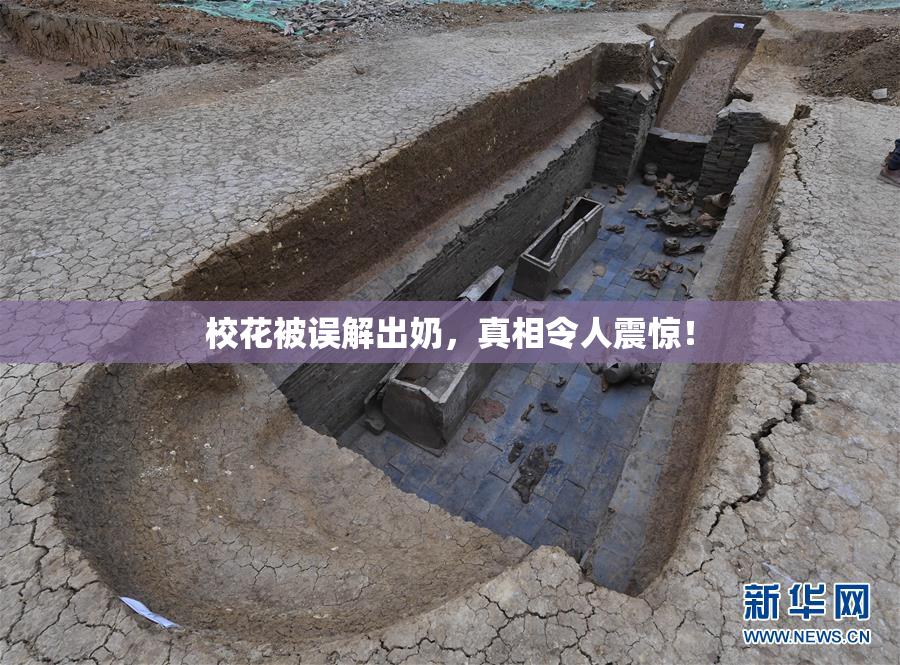 校花被误解出奶，真相令人震惊！