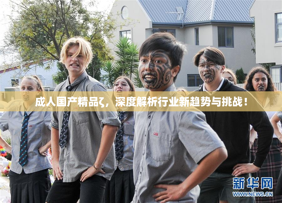 成人国产精品ζ，深度解析行业新趋势与挑战！