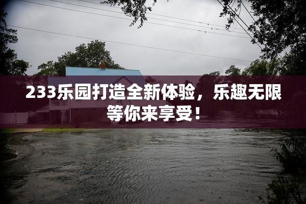 233乐园打造全新体验，乐趣无限等你来享受！