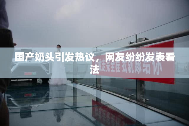 国产奶头引发热议，网友纷纷发表看法